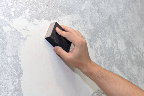Best Air Quality Testing for Mold Spores  in Del Rey, CA