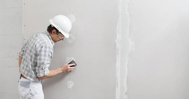  Del Rey, CA Mold Removal Pros