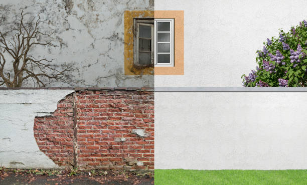 Del Rey, CA Mold Removal Company