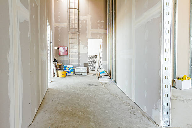 Best Mold Documentation for Insurance Claims  in Del Rey, CA